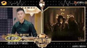 声临其境栏目背景,揭秘配音艺术家的幕后传奇之旅